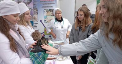 В мире профессий