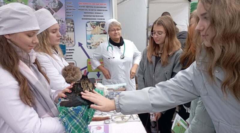 В мире профессий